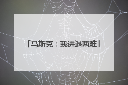 马斯克：我进退两难
