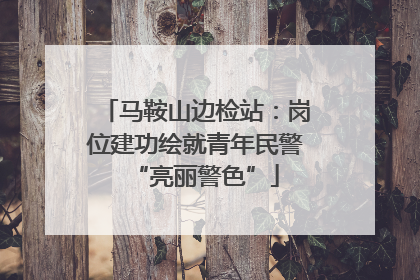 马鞍山边检站：岗位建功绘就青年民警“亮丽警色”