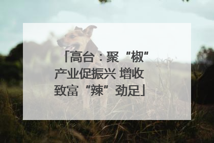 高台：聚“椒”产业促振兴 增收致富“辣”劲足