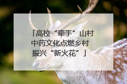 高校“牵手”山村 中药文化点燃乡村振兴“新火花”