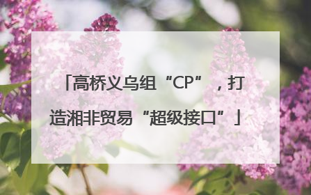高桥义乌组“CP”，打造湘非贸易“超级接口”