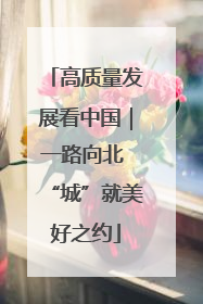 高质量发展看中国｜一路向北 “城”就美好之约