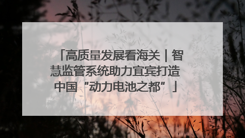 高质量发展看海关｜智慧监管系统助力宜宾打造中国“动力电池之都”