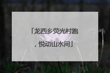 龙西乡荧光村跑，悦动山水间