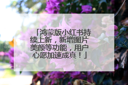 鸿蒙版小红书持续上新，新增图片美颜等功能，用户心愿加速成真！