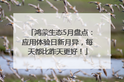 鸿蒙生态5月盘点：应用体验日新月异，每天都比昨天更好！