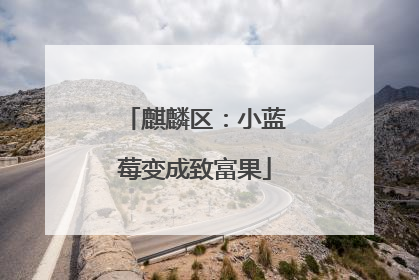 麒麟区：小蓝莓变成致富果