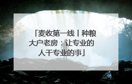 麦收第一线丨种粮大户老房：让专业的人干专业的事