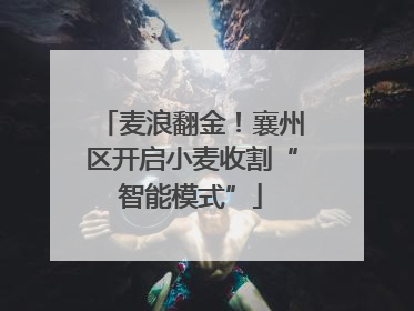 麦浪翻金！襄州区开启小麦收割“智能模式”