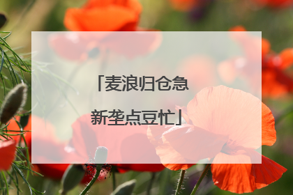 麦浪归仓急 新垄点豆忙