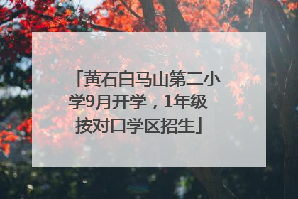 黄石白马山第二小学9月开学，1年级按对口学区招生
