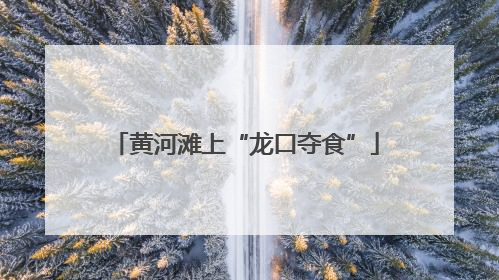 黄河滩上“龙口夺食”