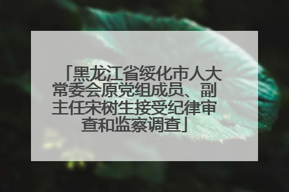 黑龙江省绥化市人大常委会原党组成员、副主任宋树生接受纪律审查和监察调查