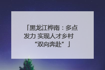 黑龙江桦南：多点发力 实现人才乡村“双向奔赴”