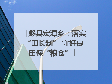 黟县宏潭乡：落实“田长制” 守好良田保“粮仓”