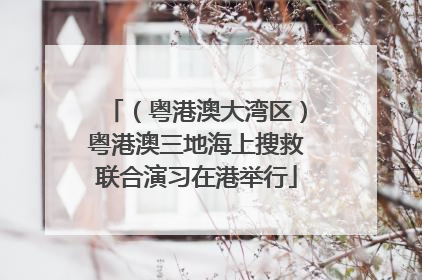 （粤港澳大湾区）粤港澳三地海上搜救联合演习在港举行