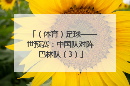 （体育）足球——世预赛：中国队对阵巴林队（3）