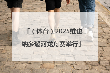 （体育）2025维也纳多瑙河龙舟赛举行