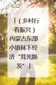 （乡村行·看振兴）内蒙古东部小镇林下经济“茸光焕发”