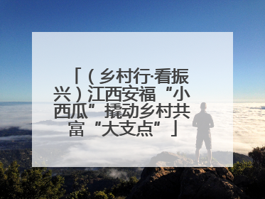 （乡村行·看振兴）江西安福“小西瓜”撬动乡村共富“大支点”