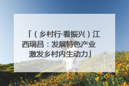 （乡村行·看振兴）江西瑞昌：发展特色产业 激发乡村内生动力