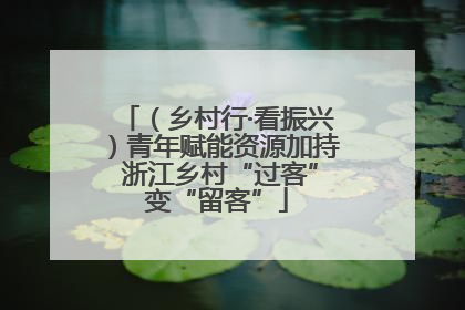 （乡村行·看振兴）青年赋能资源加持 浙江乡村“过客”变“留客”