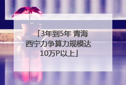 3年到5年 青海西宁力争算力规模达10万P以上