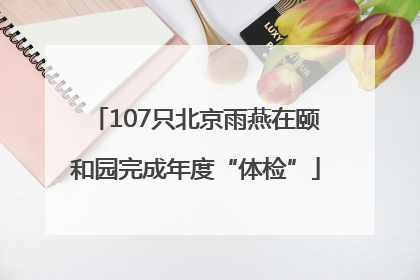 107只北京雨燕在颐和园完成年度“体检”