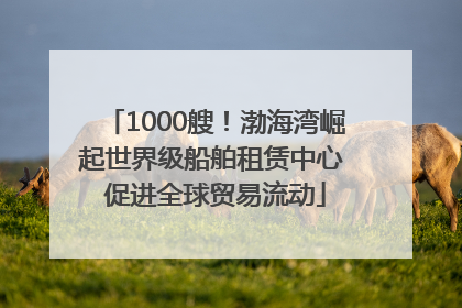 1000艘！渤海湾崛起世界级船舶租赁中心 促进全球贸易流动