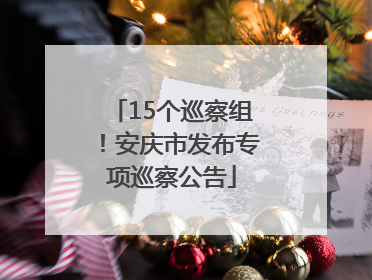 15个巡察组！安庆市发布专项巡察公告
