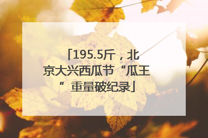 195.5斤，北京大兴西瓜节“瓜王”重量破纪录