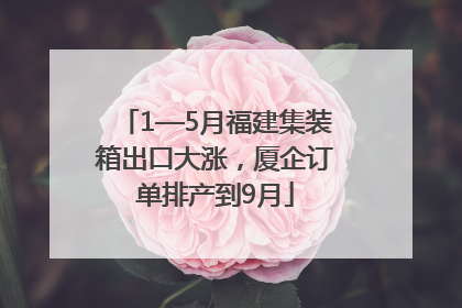 1—5月福建集装箱出口大涨，厦企订单排产到9月