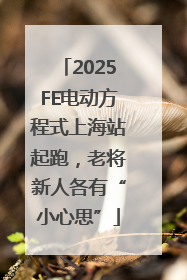 2025FE电动方程式上海站起跑，老将新人各有“小心思”