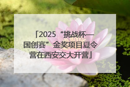 2025“挑战杯—国创赛”金奖项目夏令营在西安交大开营