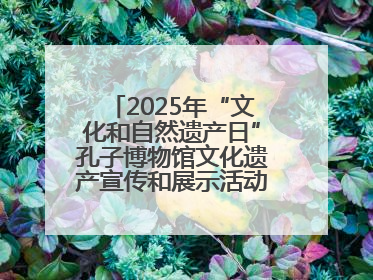 2025年“文化和自然遗产日”孔子博物馆文化遗产宣传和展示活动启动仪式举行