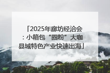 2025年廊坊经洽会：小箱包“圈粉”大咖 县域特色产业快速出海