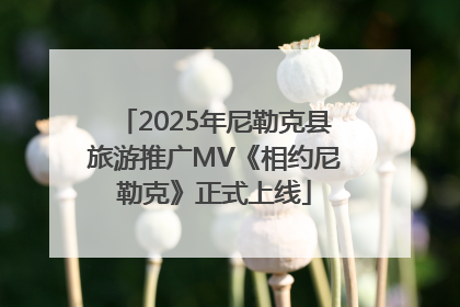 2025年尼勒克县旅游推广MV《相约尼勒克》正式上线