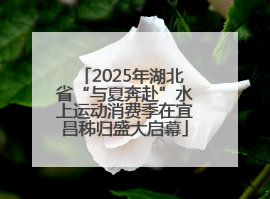 2025年湖北省“与夏奔赴”水上运动消费季在宜昌秭归盛大启幕