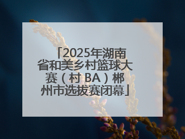 2025年湖南省和美乡村篮球大赛（村 BA）郴州市选拔赛闭幕