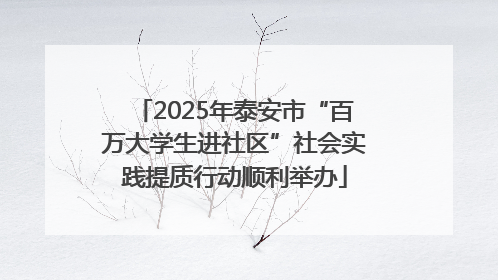 2025年泰安市“百万大学生进社区”社会实践提质行动顺利举办