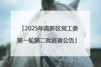 2025年高新区党工委第一轮第二批巡察公告