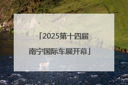 2025第十四届南宁国际车展开幕