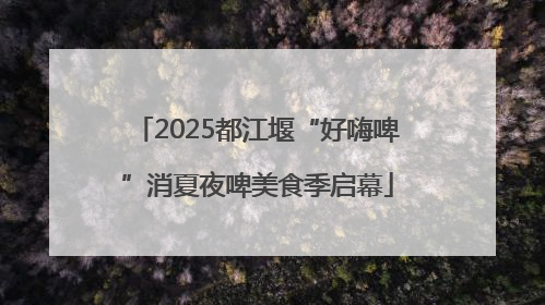 2025都江堰“好嗨啤”消夏夜啤美食季启幕