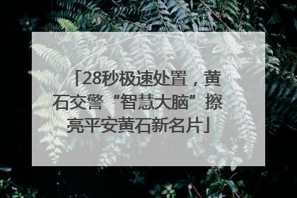 28秒极速处置，黄石交警“智慧大脑”擦亮平安黄石新名片