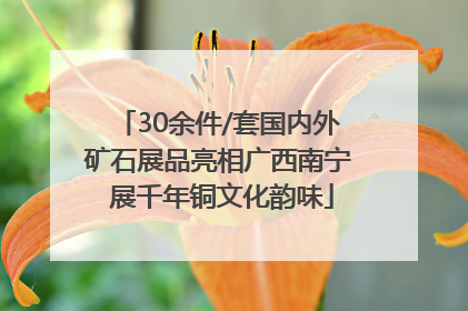 30余件/套国内外矿石展品亮相广西南宁 展千年铜文化韵味