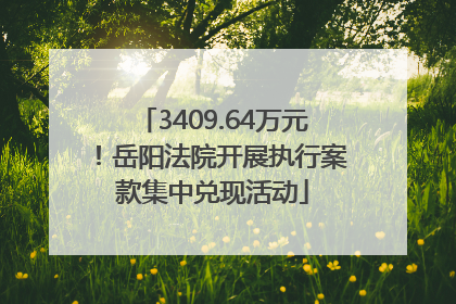 3409.64万元！岳阳法院开展执行案款集中兑现活动