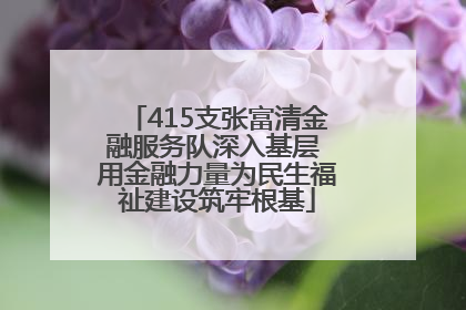 415支张富清金融服务队深入基层 用金融力量为民生福祉建设筑牢根基