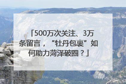 500万次关注、3万条留言，“牡丹包裹”如何助力菏泽破圈？