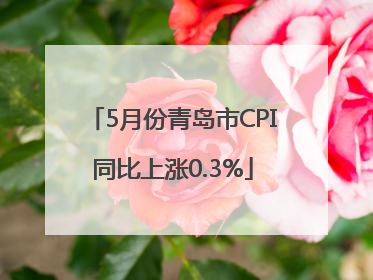 5月份青岛市CPI同比上涨0.3%