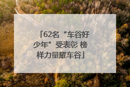 62名“车谷好少年”受表彰 榜样力量耀车谷